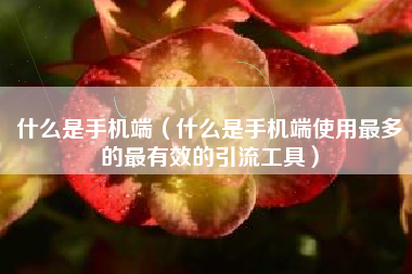 什么是手机端（什么是手机端使用最多的最有效的引流工具）
