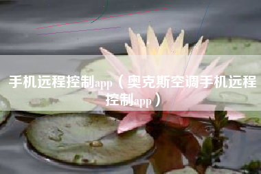手机远程控制app（奥克斯空调手机远程控制app）