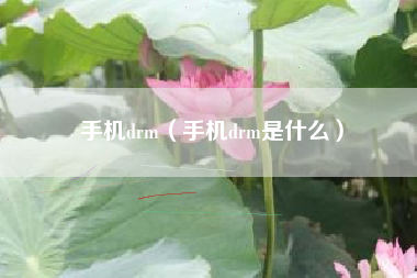 手机drm（手机drm是什么）