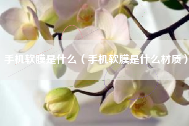 手机软膜是什么（手机软膜是什么材质）