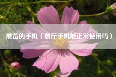 展览的手机（展厅手机能正常使用吗）