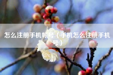 怎么注册手机帐号（手机怎么注册手机号）