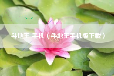 斗地主 手机（斗地主手机版下载）