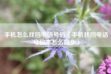 手机怎么找回电话号码（手机找回电话号码本怎么同步）