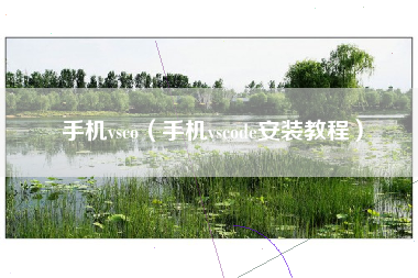 手机vsco（手机vscode安装教程）