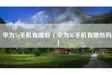 华为5g手机有哪些（华为5G手机有哪些吗）