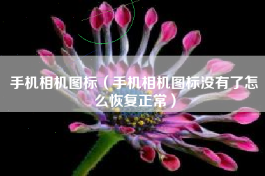 手机相机图标（手机相机图标没有了怎么恢复正常）
