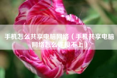 手机怎么共享电脑网络（手机共享电脑网络怎么连接不上）