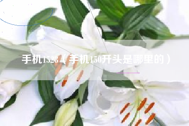 手机1528（手机150开头是哪里的）