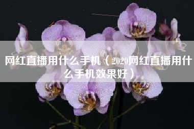 网红直播用什么手机（2020网红直播用什么手机效果好）