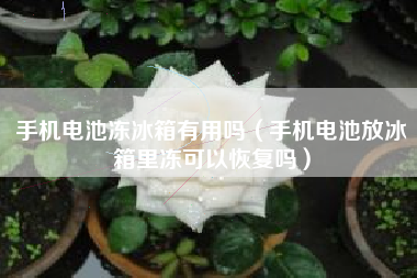 手机电池冻冰箱有用吗（手机电池放冰箱里冻可以恢复吗）
