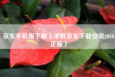 京东手机版下载（手机京东下载安装2018正版）