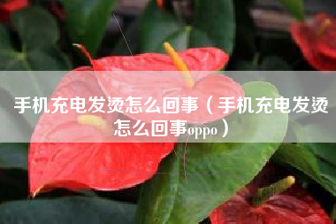 手机充电发烫怎么回事（手机充电发烫怎么回事oppo）