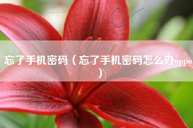 忘了手机密码（忘了手机密码怎么办oppo）