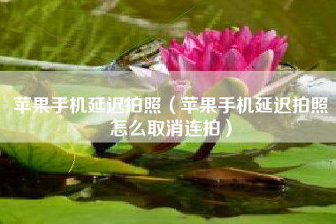 苹果手机延迟拍照（苹果手机延迟拍照怎么取消连拍）