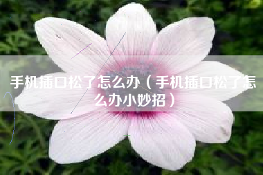 手机插口松了怎么办（手机插口松了怎么办小妙招）