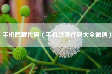手机隐藏代码（手机隐藏代码大全微信）