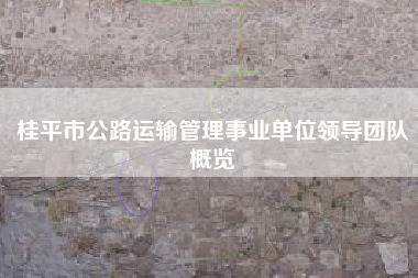 桂平市公路运输管理事业单位领导团队概览