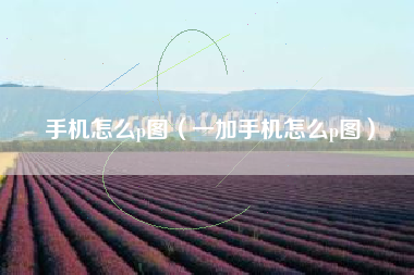 手机怎么p图（一加手机怎么p图）