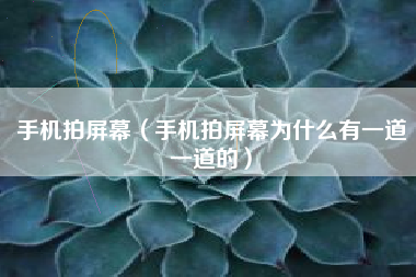 手机拍屏幕（手机拍屏幕为什么有一道一道的）