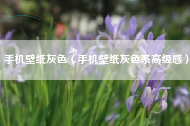 手机壁纸灰色（手机壁纸灰色系高级感）