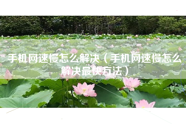 手机网速慢怎么解决（手机网速慢怎么解决最快方法）