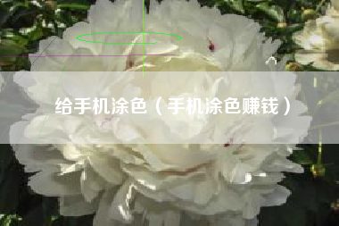 给手机涂色（手机涂色赚钱）