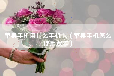 苹果手机用什么手机卡（苹果手机怎么使用双卡）