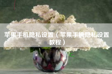苹果手机隐私设置（苹果手机隐私设置教程）