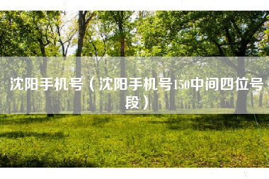 沈阳手机号（沈阳手机号150中间四位号段）