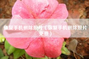 恢复手机删除照片（恢复手机删除照片免费）