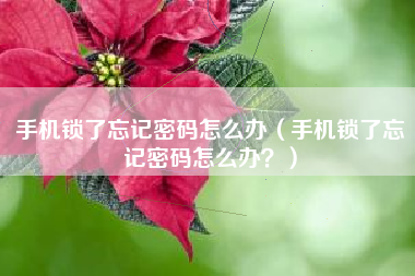 手机锁了忘记密码怎么办（手机锁了忘记密码怎么办？）