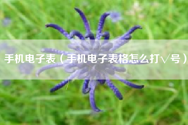 手机电子表（手机电子表格怎么打√号）