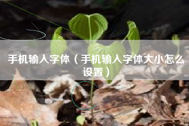 手机输入字体（手机输入字体大小怎么设置）