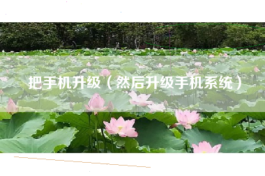 把手机升级（然后升级手机系统）