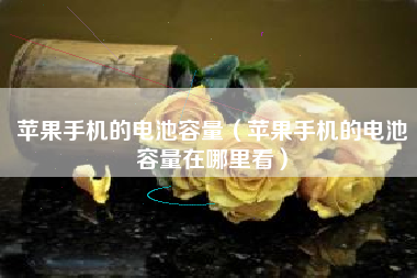 苹果手机的电池容量（苹果手机的电池容量在哪里看）