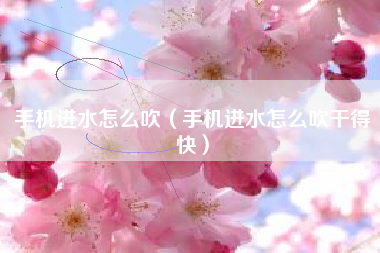 手机进水怎么吹（手机进水怎么吹干得快）