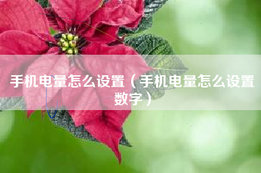 手机电量怎么设置（手机电量怎么设置数字）