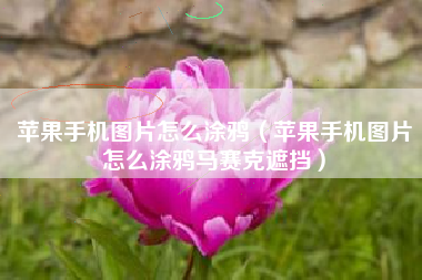 苹果手机图片怎么涂鸦（苹果手机图片怎么涂鸦马赛克遮挡）