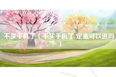 不买手机了（不买手机了 定金可以退吗）