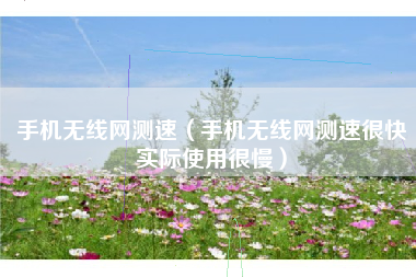 手机无线网测速（手机无线网测速很快实际使用很慢）