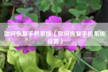 如何恢复手机系统（如何恢复手机系统设置）