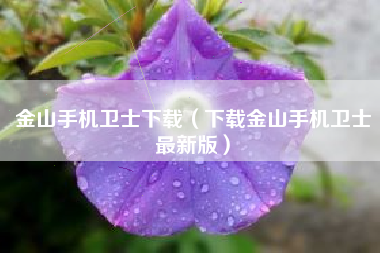 金山手机卫士下载（下载金山手机卫士最新版）