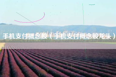 手机支付概念股（手机支付概念股龙头）