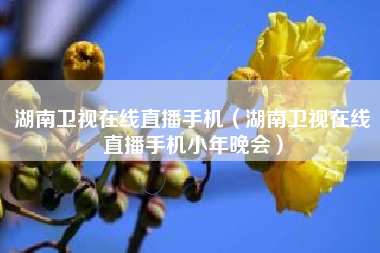 湖南卫视在线直播手机（湖南卫视在线直播手机小年晚会）