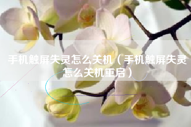 手机触屏失灵怎么关机（手机触屏失灵怎么关机重启）