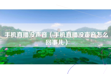 手机直播没声音（手机直播没声音怎么回事儿）