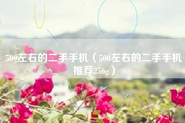 500左右的二手手机（500左右的二手手机推荐256g）