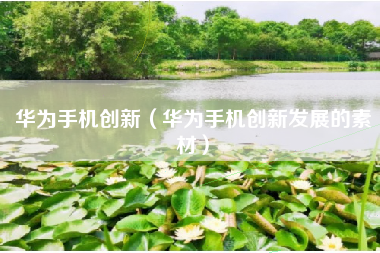 华为手机创新（华为手机创新发展的素材）