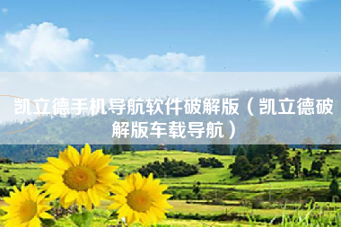 凯立德手机导航软件破解版（凯立德破解版车载导航）